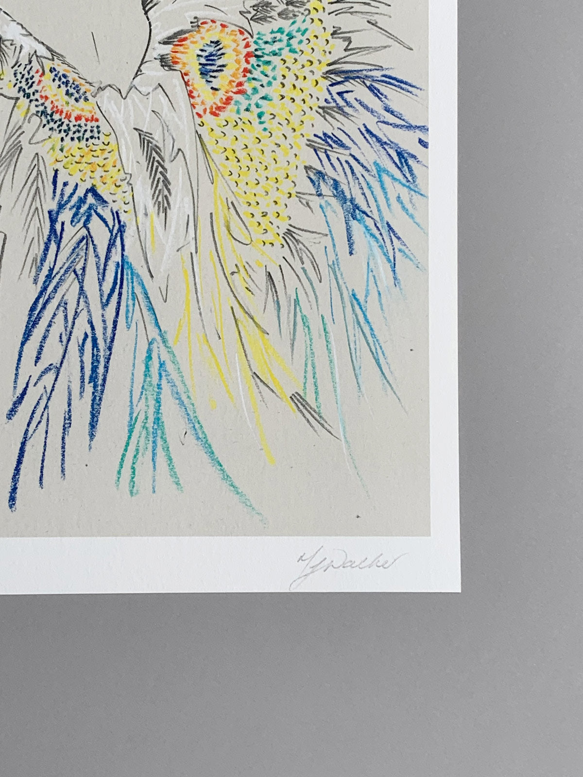 Colour details of Thierry Muglers' Butterfly Dress. An artwork drawn by fashion illustrator Melanie Walker.