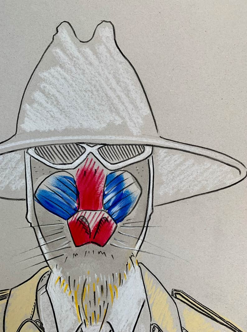 Details of a colourful illustration of an beaver in designer Burberry clothing.