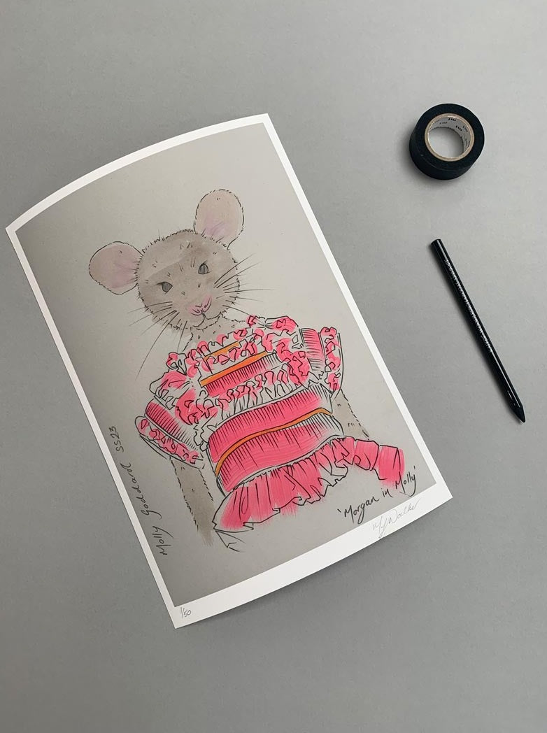 Modern colour print of an animal in designer clothing on a grey background.