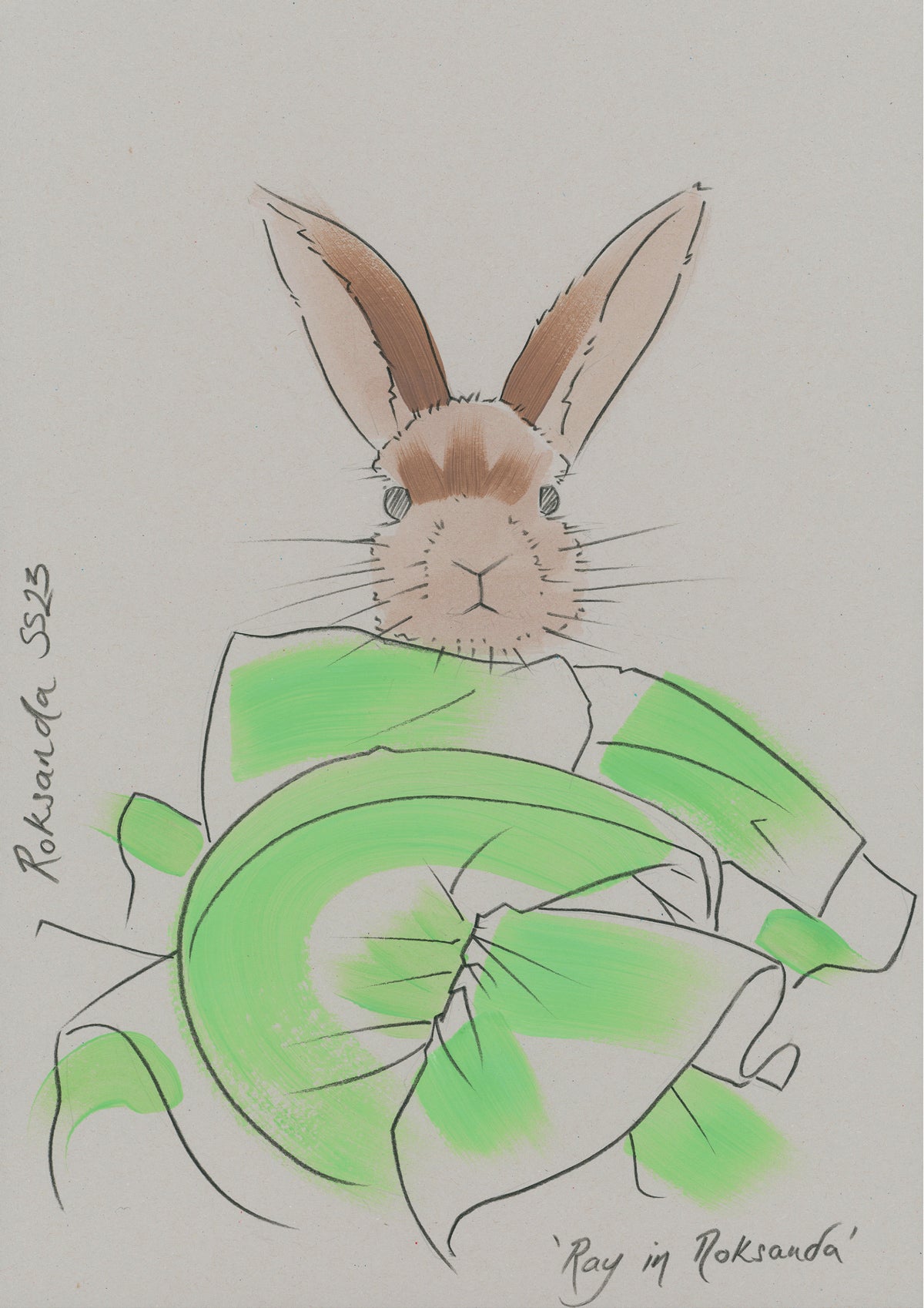 Modern colour print of an animal in designer clothing.