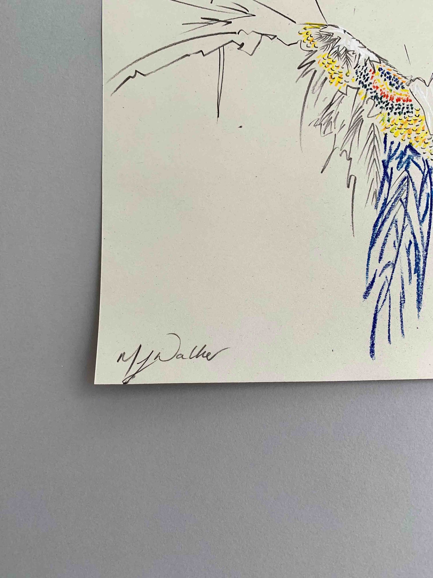 Fashion designer, Melanie Walker's signature on the bottom of her print 'Thierry Mugler Butterfly Dress'.