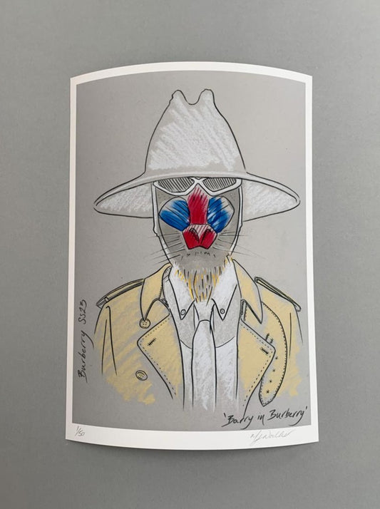 Modern A4 and A3 colour prints of an animal in designer clothing.