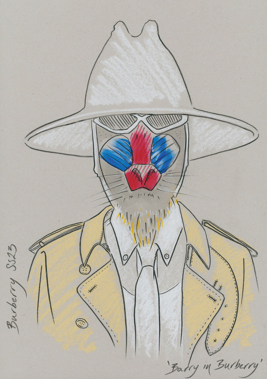 Modern colour print of an animal in designer clothing.