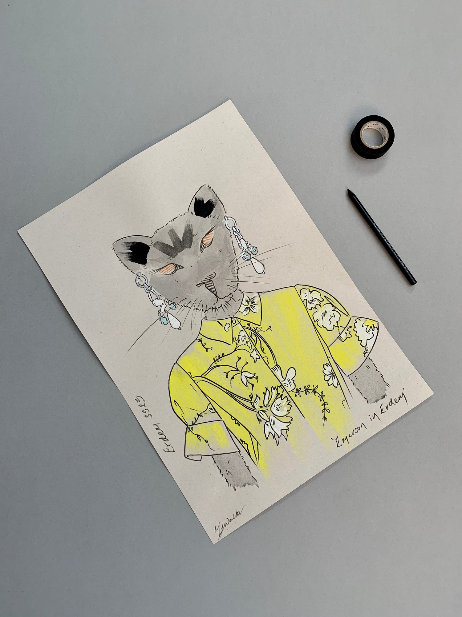 Colourful illustration of a cat in designer Erdem clothing on a grey background.