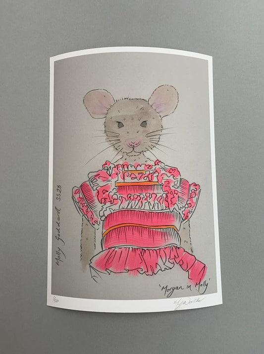 Modern A4 and A3 colour prints of an animal in designer clothing.