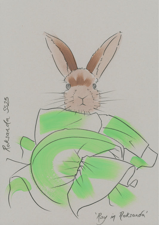 Colourful illustration of a bunny in designer Roksanda clothing.